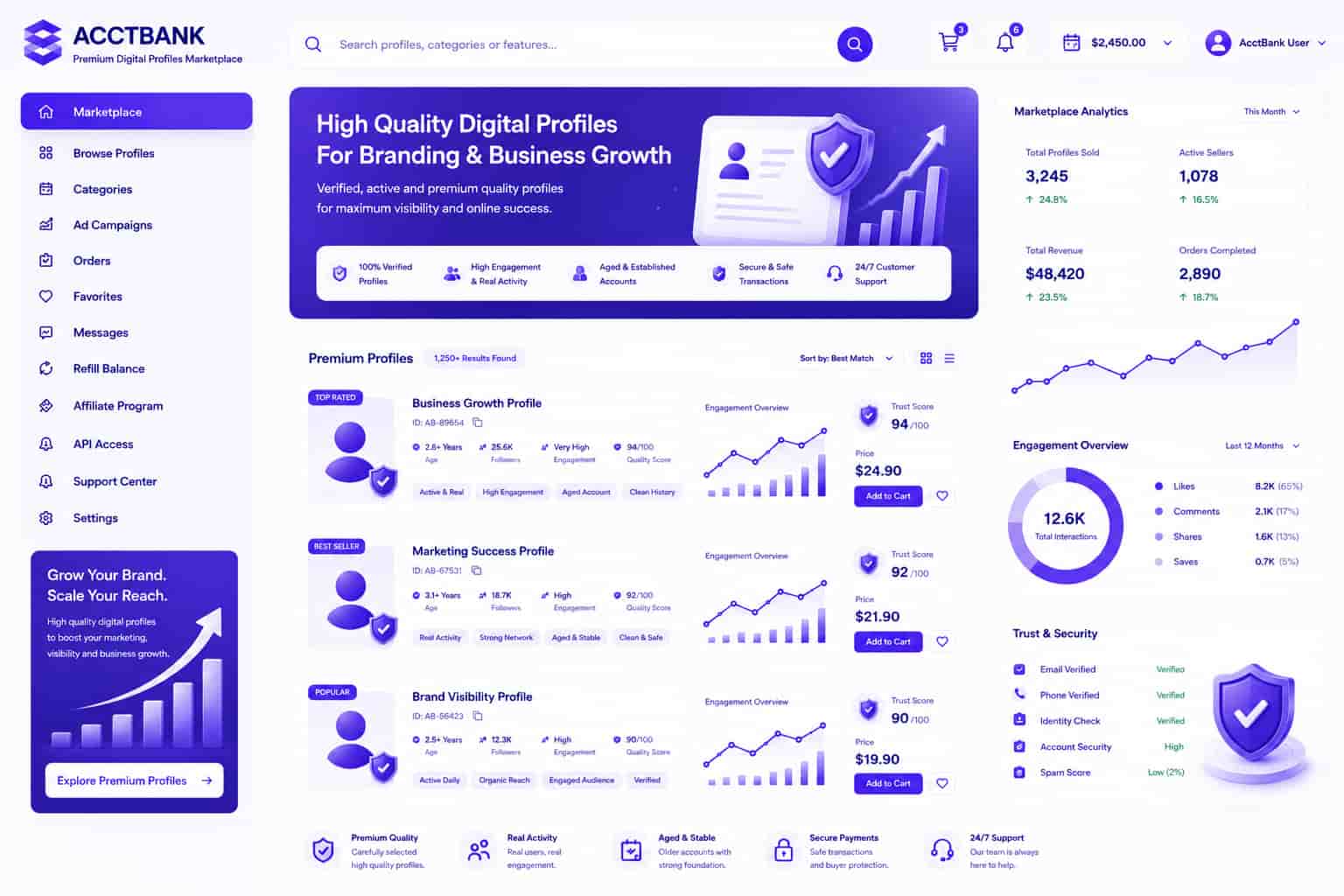 High quality Instagram accounts for branding and online marketing